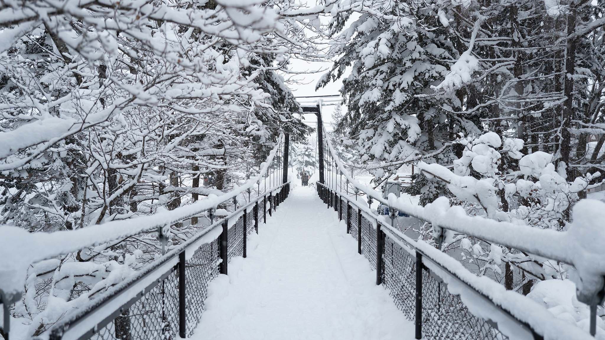 二世古·富良野