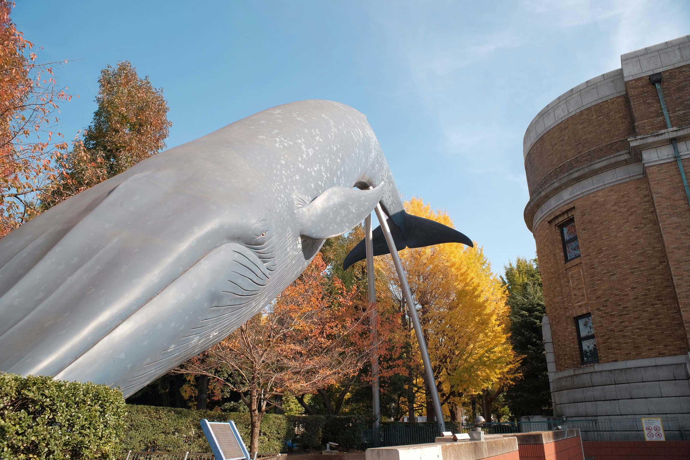 东京国立博物馆