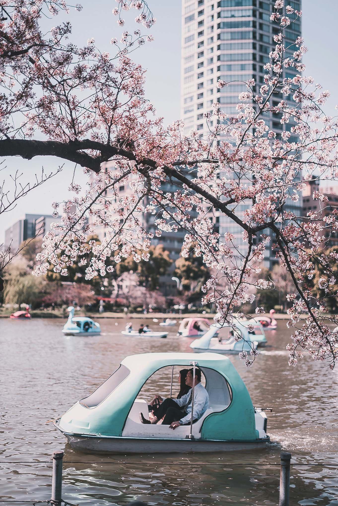 حديقة أوينو